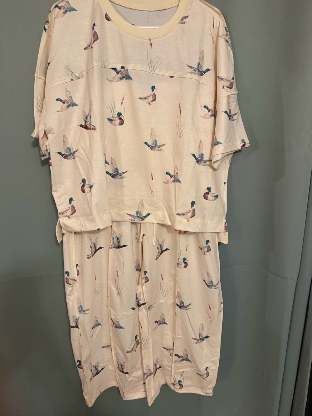 Cream Duck-Print Women’s Pajama Set - Relaxed Short Sleeve Top & Pants